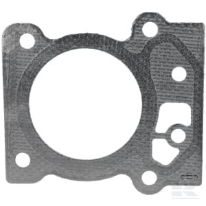 Cilindro galvutės tarpinė Briggs & Stratton