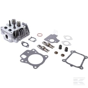 Cilindro galvutė Briggs & Stratton