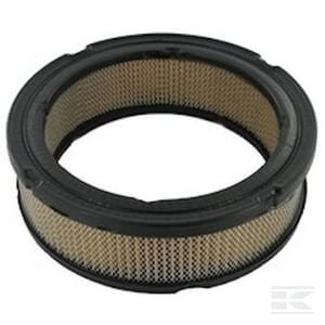 Oro filtras Briggs & Stratton