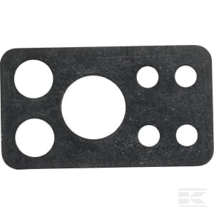 Purkštuko tarpinė Briggs & Stratton