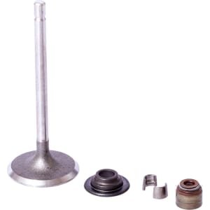 Įsiurbimo vožtuvas Briggs & Stratton