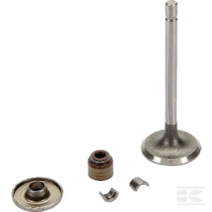 Įsiurbimo vožtuvas Briggs & Stratton