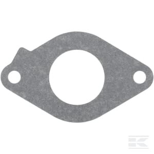 Įsiurbimo tarpinė Briggs & Stratton