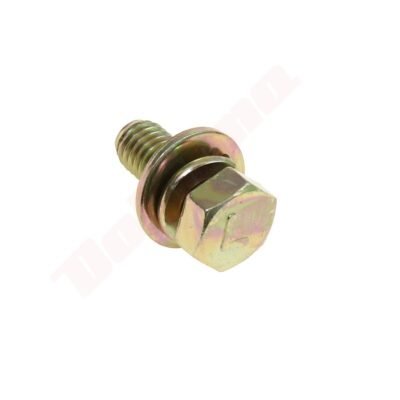 Reduktoriaus korpusas Varžtas LH M 8x1,25 22MM MARUYAMA 215610
