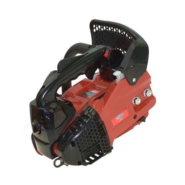 Variklis CS 25