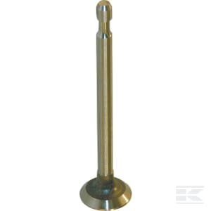 Išmetimo vožtuvas Briggs & Stratton