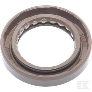 Alyvos sandariklis Briggs & Stratton