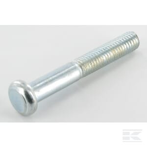 Apvalgalvis varžtas M8x55 DIN607 4.6 ZN 13525