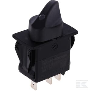 Sukamasis jungiklis 106882