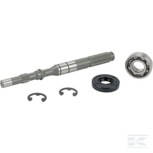 Siurblio veleno/guolių komplektas 168T2099250