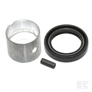 Guolinė įvorė 807687