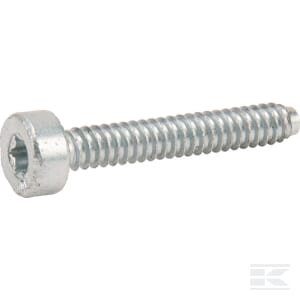 Varžtas 90754784167