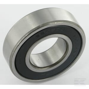 Guolis su ritinėliais 6205 ET25475