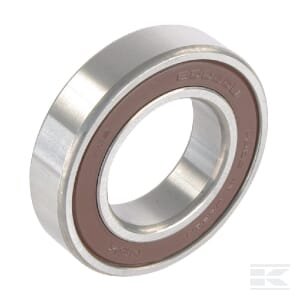 Guolis su ritinėliais 6006 2RS ET5454