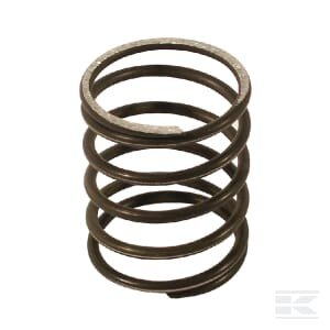 Trimerio galvutės spyruoklė