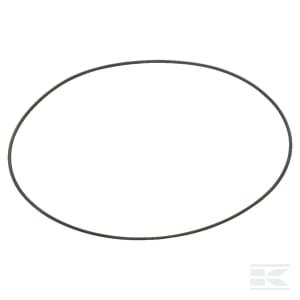 Sandarinimo žiedas/filtravimo tarpinė 62350