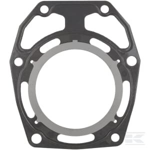 Cilindro galvos tarpinė 110042142