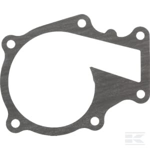 Vandens siurblio tarpinė 1626173430