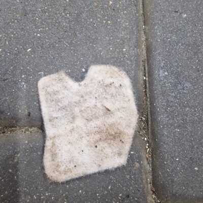 Husqvarna 235 Oro filtras