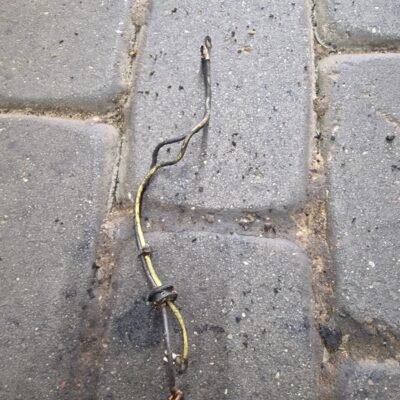 STIHL MS341 Uždegimo ritės laidai