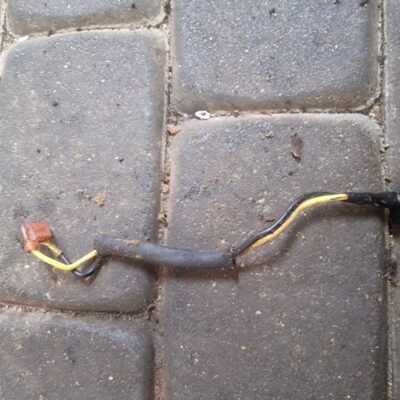 Partner 351 Uždegimo ritės laidas