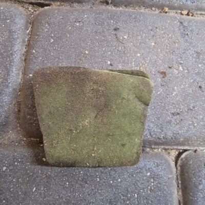 Partner 351 Oro filtras