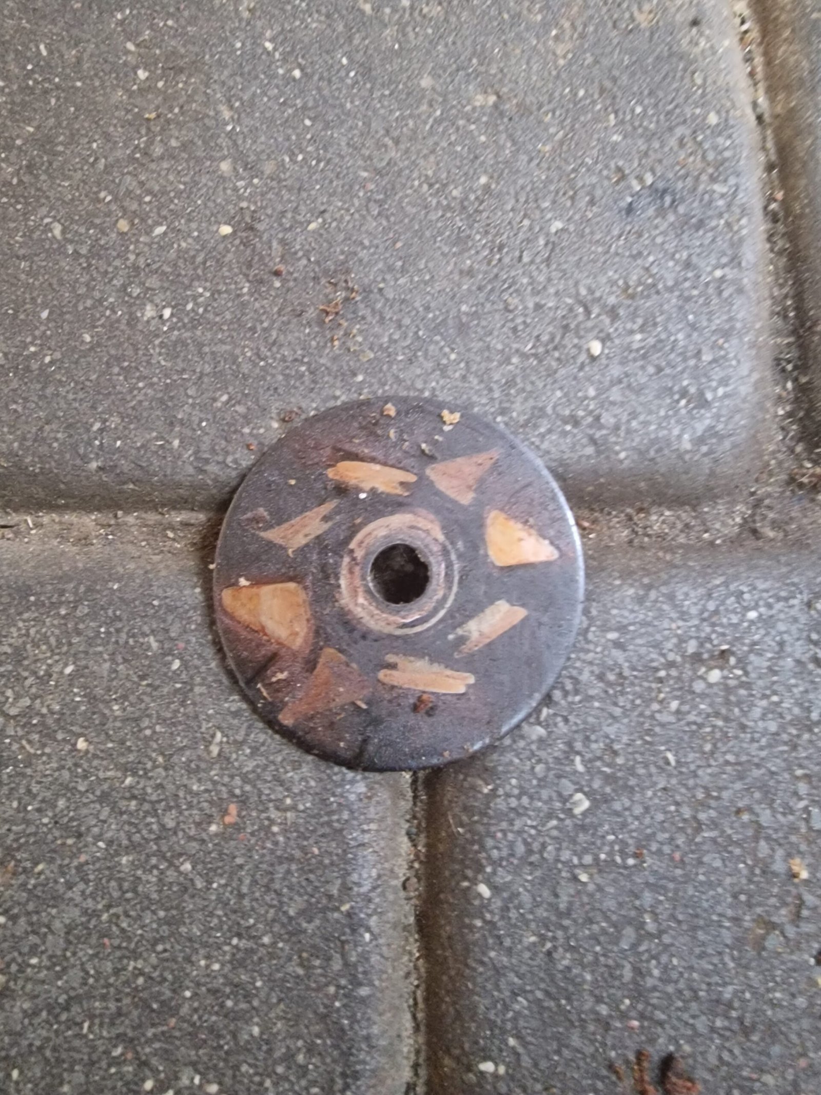 Partner 351 Sankabos Lėkštutė