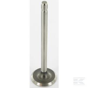 Įsiurbimo vožtuvas Kohler 235008S