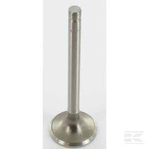 Išmetimo vožtuvas Kohler 3201601S