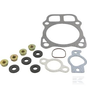 Cilindro galvutės tarpinė 2484102S