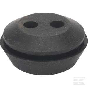 Praėjimo žarnelė, 462621