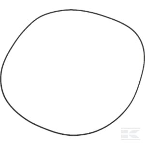 Sandarinimo žiedas - OR 3101 257,8x2,62 5030210078