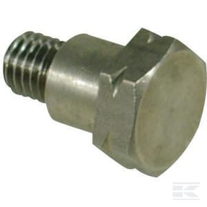 Specialus varžtas 580361