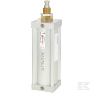 Pneumatinis cilindras. 6" std.+magnetas 6008200Z