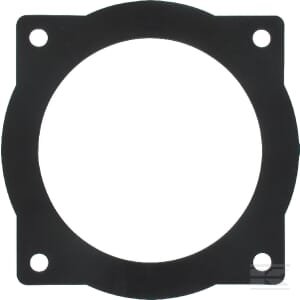 Tarpiklis 6" flanšui 6309822