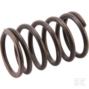 Vožtuvo spyruoklė, AK455244