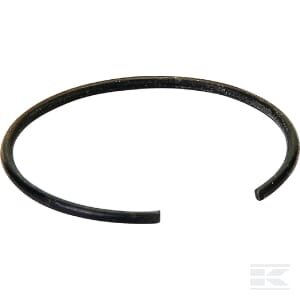 Sandariklis AK455270