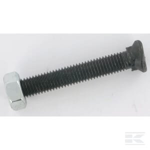 Balnelio varžtas M10x70 CP1070