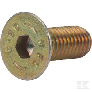 Varžtas 8x20 DD414