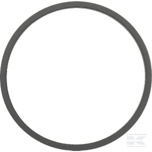 Plūdės kameros tarpinė Tecumseh FGP001752