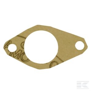 Alyvos siurblio tarpiklis B.P. LW31