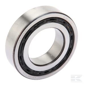 Rutulinis guolis NLG003