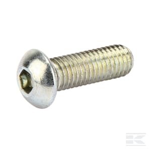 Varžtas M10x30 10.9 NSI009