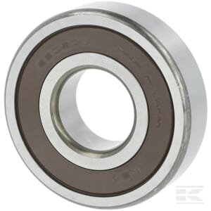 Gilaus griovelio rutulinis guolis NWB00474