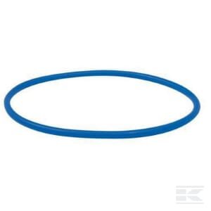 O žiedas flanšui 8" RIV9859200