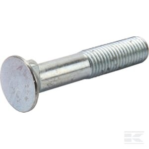 Varžtas SK 1S M11x55 VI1704