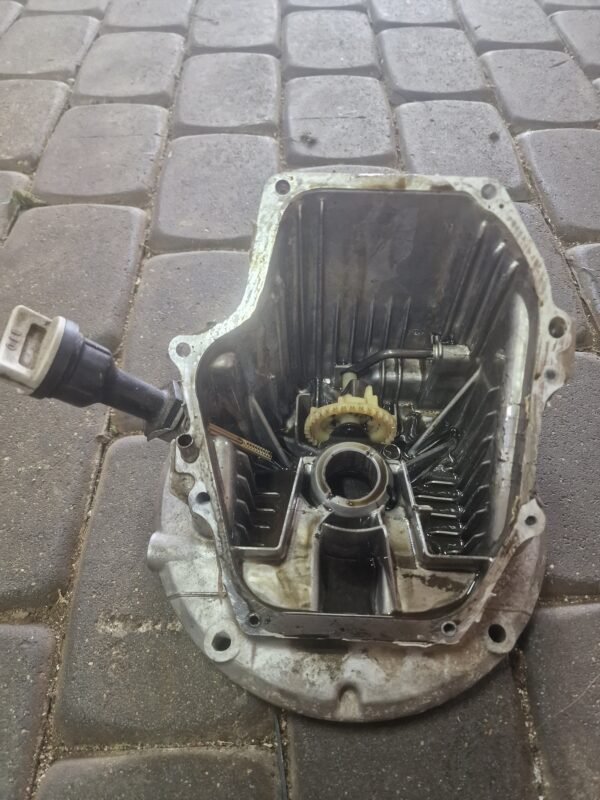 Honda GCV190 Variklio blokas