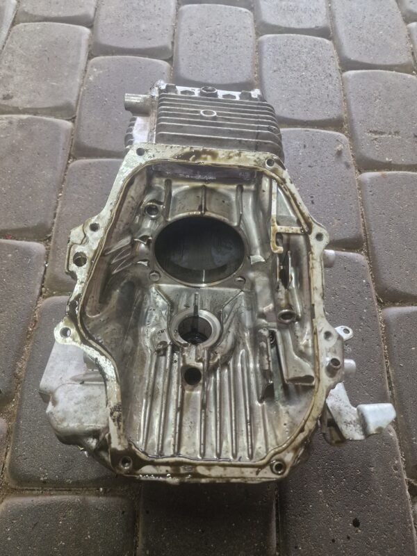 Honda GCV190 Variklio Blokas - Image 2