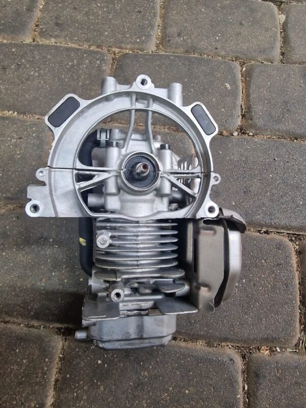 Honda GX25 Variklio Blokas