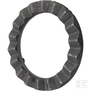 Perkrovos sankabos diskas Bizon 3020504002056